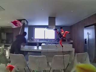 voyeurcam-casa-salsa-fishtank