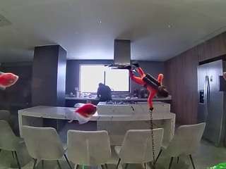 voyeurcam-casa-salsa-fishtank