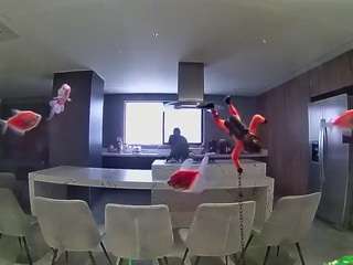 voyeurcam-casa-salsa-fishtank