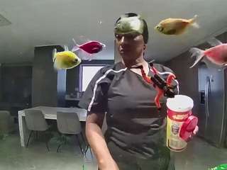 voyeurcam-casa-salsa-fishtank