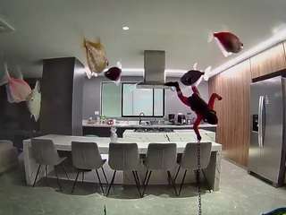 voyeurcam-casa-salsa-fishtank