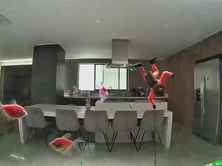 Hd, Young Adult, Voyeur, Teen  Camiqa – Free Live Video Chat with Strangers Online