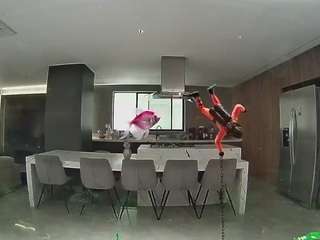 voyeurcam-casa-salsa-fishtank