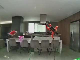 voyeurcam-casa-salsa-fishtank