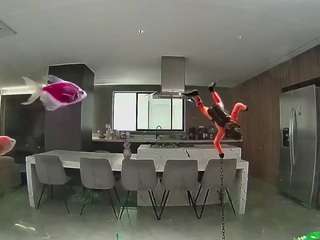 voyeurcam-casa-salsa-fishtank