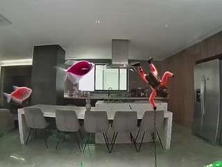 voyeurcam casa salsa fishtank