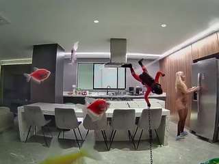 voyeurcam-casa-salsa-fishtank