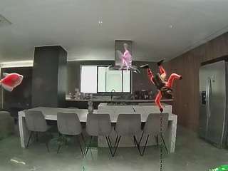 voyeurcam casa salsa fishtank