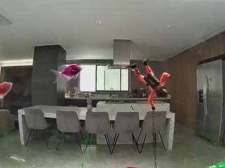 Hd, Young Adult, Voyeur, Teen  Camiqa – Free Live Video Chat with Strangers Online