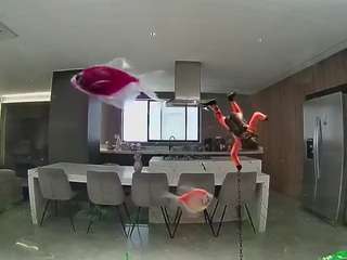 Hd, Young Adult, Voyeur, Teen  Camiqa – Free Live Video Chat with Strangers Online