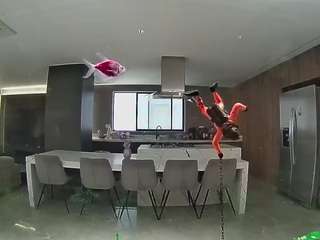 voyeurcam-casa-salsa-fishtank
