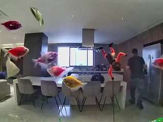 Hd, Young Adult, Voyeur, Teen  Camiqa – Free Live Video Chat with Strangers Online
