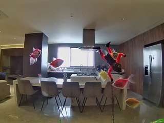 voyeurcam-casa-salsa-fishtank