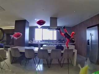 voyeurcam casa salsa fishtank