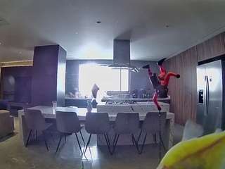 voyeurcam-casa-salsa-fishtank