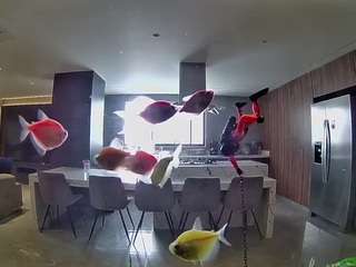 voyeurcam-casa-s... Live Webcam on CamSoda