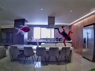 voyeurcam-casa-salsa-fishtank
