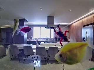 voyeurcam-casa-salsa-fishtank