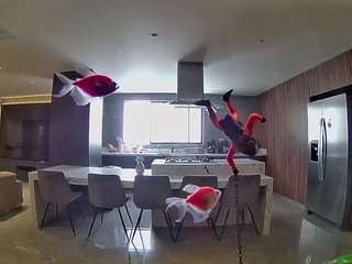 voyeurcam-casa-salsa-fishtank