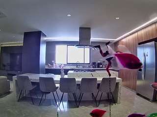 voyeurcam-casa-salsa-fishtank