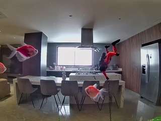 voyeurcam-casa-salsa-fishtank