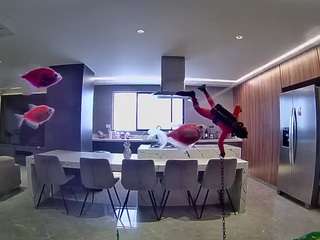 voyeurcam-casa-salsa-fishtank
