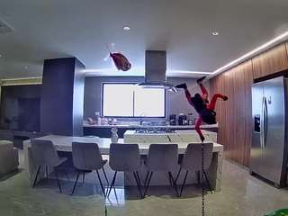 voyeurcam-casa-salsa-fishtank