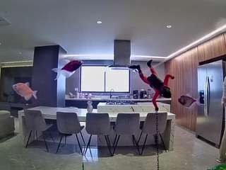 voyeurcam-casa-salsa-fishtank