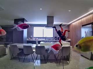 voyeurcam-casa-salsa-fishtank