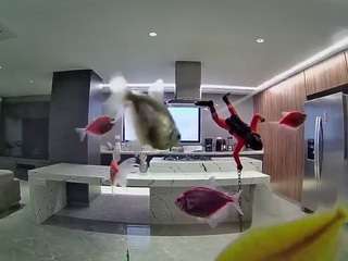 Hd, Young Adult, Voyeur, Teen  Camiqa – Free Live Video Chat with Strangers Online