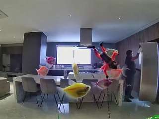 voyeurcam-casa-salsa-fishtank