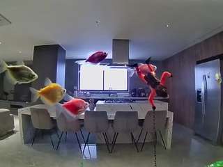 Hd, Young Adult, Voyeur, Teen  Camiqa – Free Live Video Chat with Strangers Online