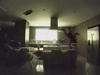 voyeurcam-casa-salsa-fishtank