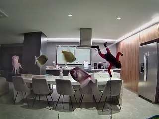 voyeurcam-casa-salsa-fishtank
