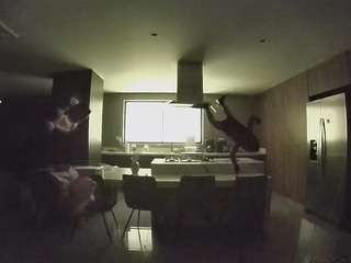 voyeurcam-casa-salsa-fishtank