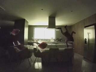 voyeurcam-casa-salsa-fishtank