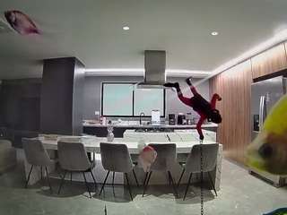voyeurcam-casa-salsa-fishtank