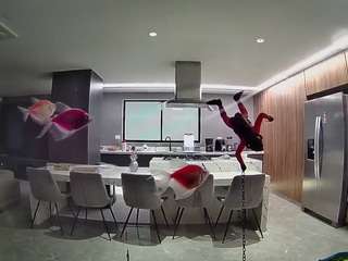voyeurcam-casa-salsa-fishtank
