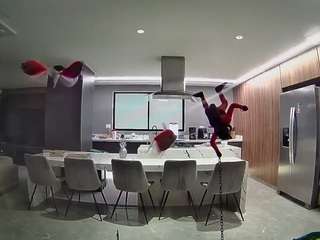 voyeurcam-casa-salsa-fishtank