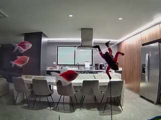 voyeurcam-casa-salsa-fishtank