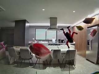 voyeurcam-casa-salsa-fishtank