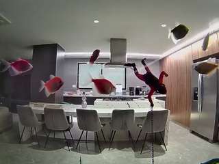 voyeurcam-casa-salsa-fishtank