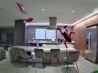 voyeurcam-casa-salsa-fishtank