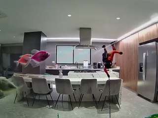 voyeurcam-casa-salsa-fishtank