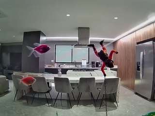 voyeurcam-casa-salsa-fishtank