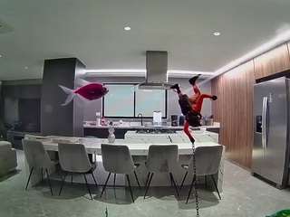 voyeurcam-casa-salsa-fishtank