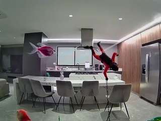 voyeurcam-casa-salsa-fishtank