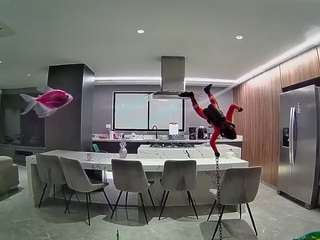 voyeurcam-casa-salsa-fishtank