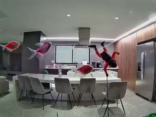 voyeurcam-casa-salsa-fishtank