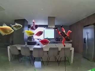Hd, Young Adult, Voyeur, Teen  Camiqa – Free Live Video Chat with Strangers Online
